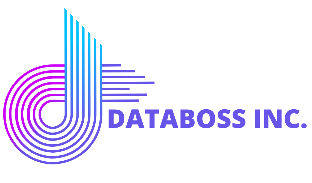 Databoss Inc. (3)